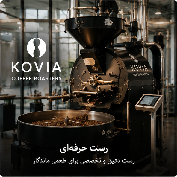 رست حرفه ای