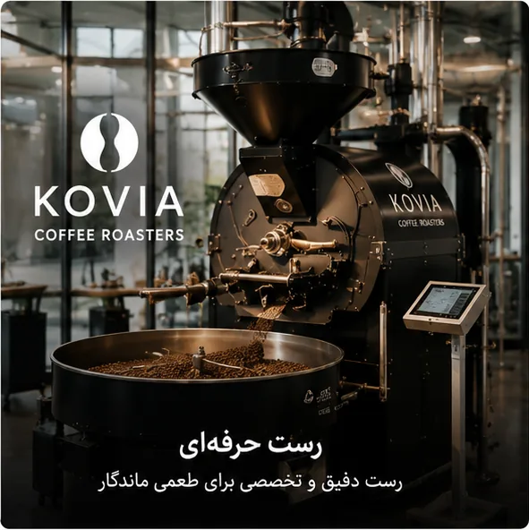 رست حرفه ای